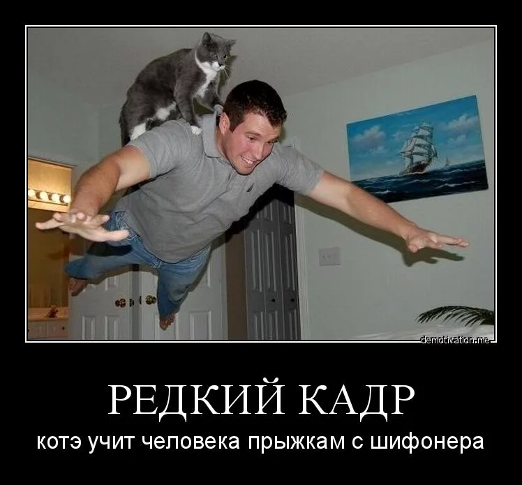 egdc4e.webp