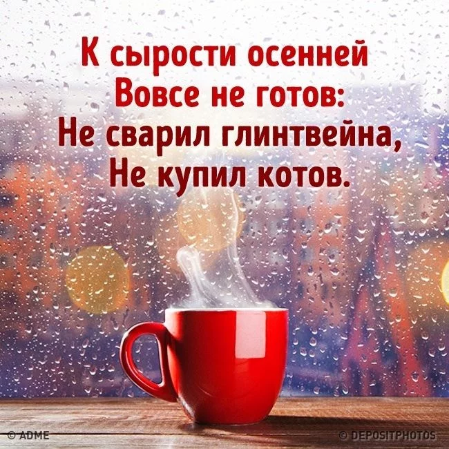 ege0ef.webp