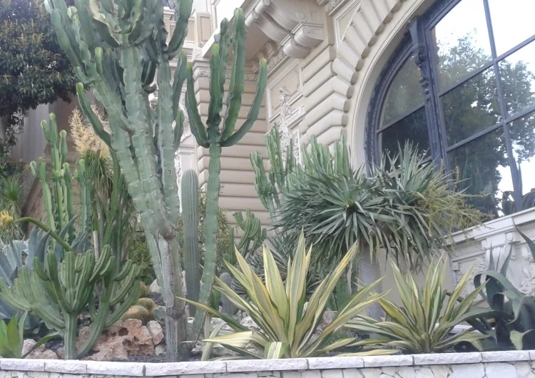 egeha6.webp