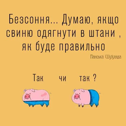 eggfb5.webp