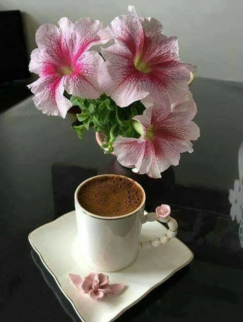 eghg4e.webp