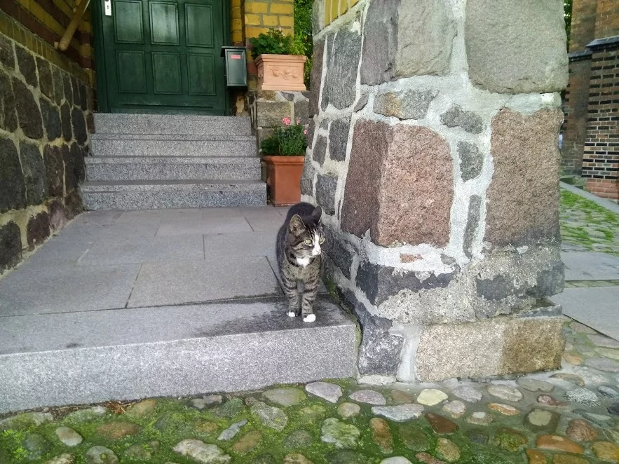 egjbg9.webp