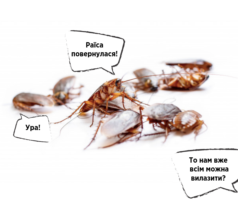egjg7g.png