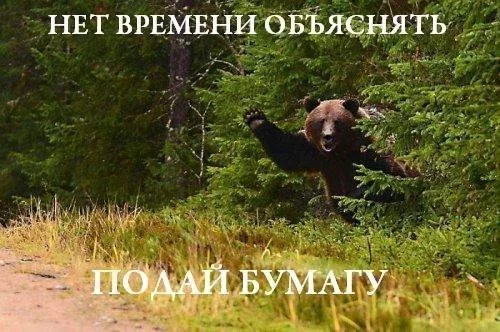 EgLUPxBJBZw.webp