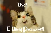 eha1ff.webp