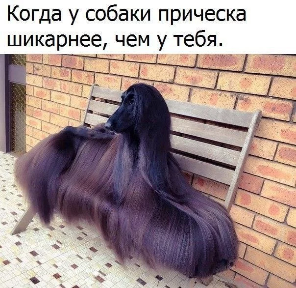 ehaf2e.webp