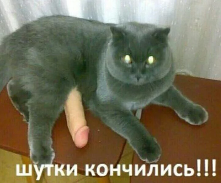 ehb3ea.webp