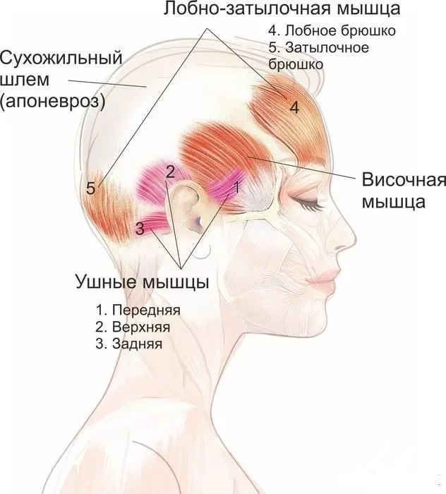 ehb3hg.webp