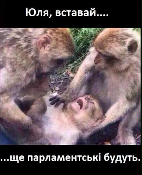 ehb6fg.webp