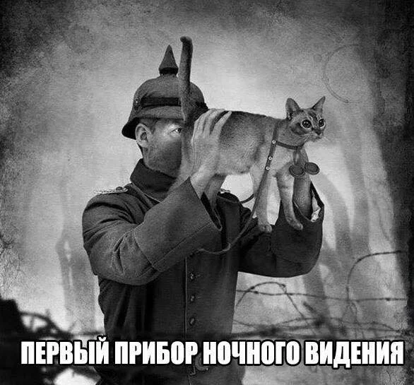 ehcc4f.webp