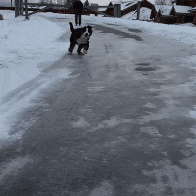eheae7.gif