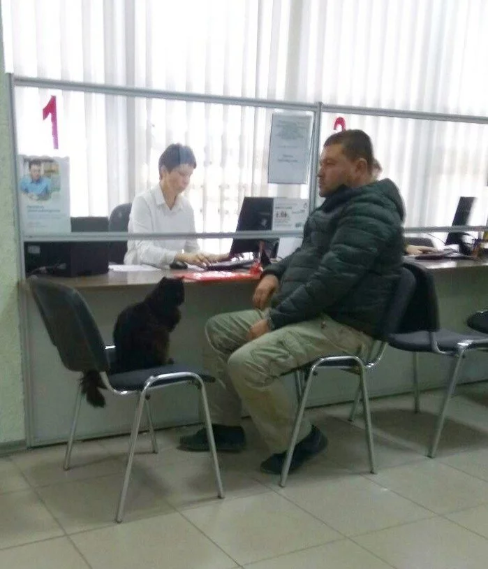 ehed6a.webp