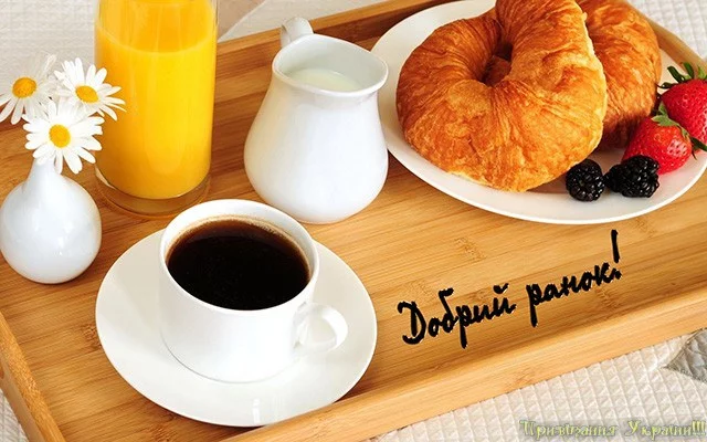 ehf5fg.webp
