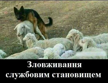 ehfcc0.webp