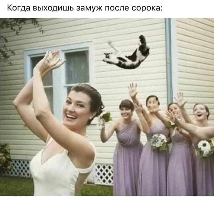 ehfh6j.webp