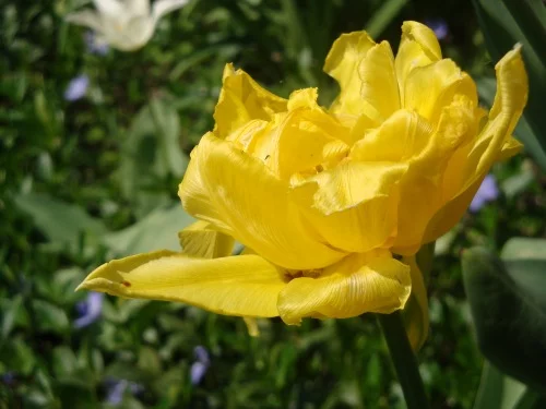 ehg5dh.webp