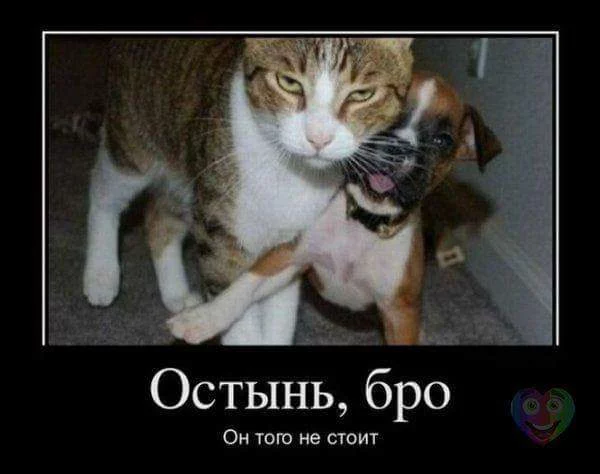 ehgbg3.webp