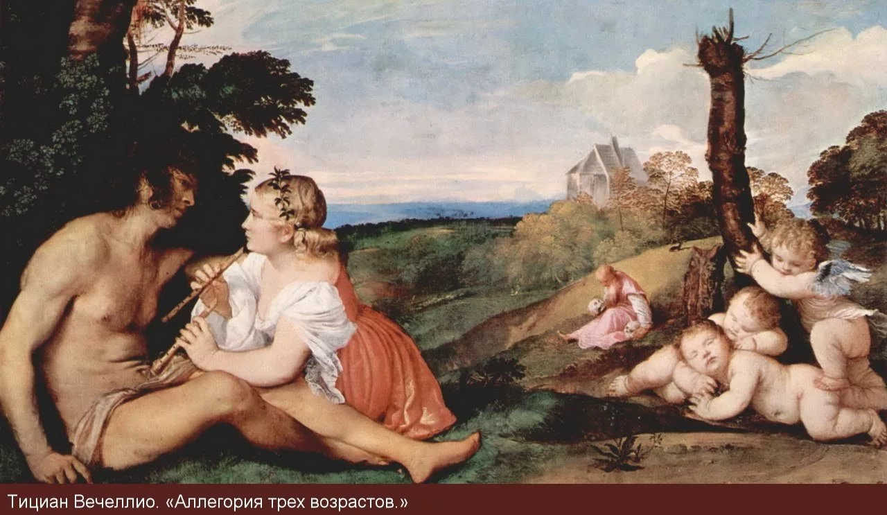 ehj5cf.webp