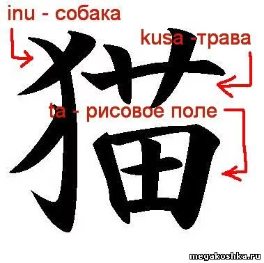 ej2fjh.webp