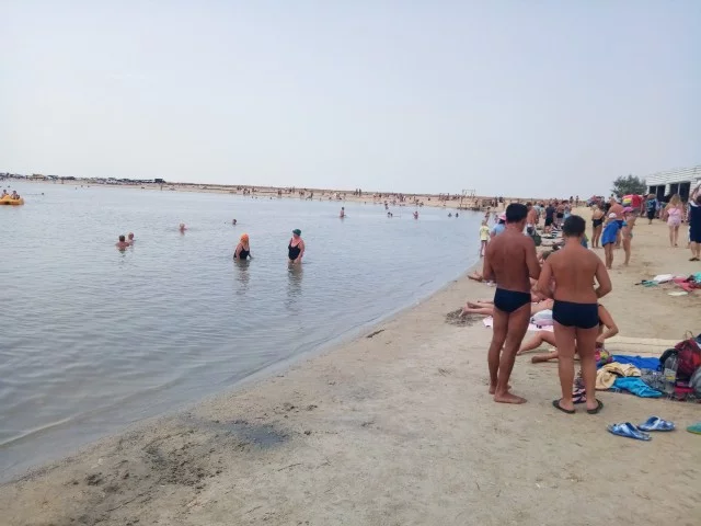 ejddh3.webp