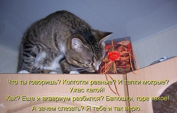 ejfb9j.webp