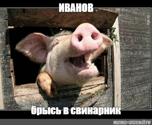 ejgcb8.webp