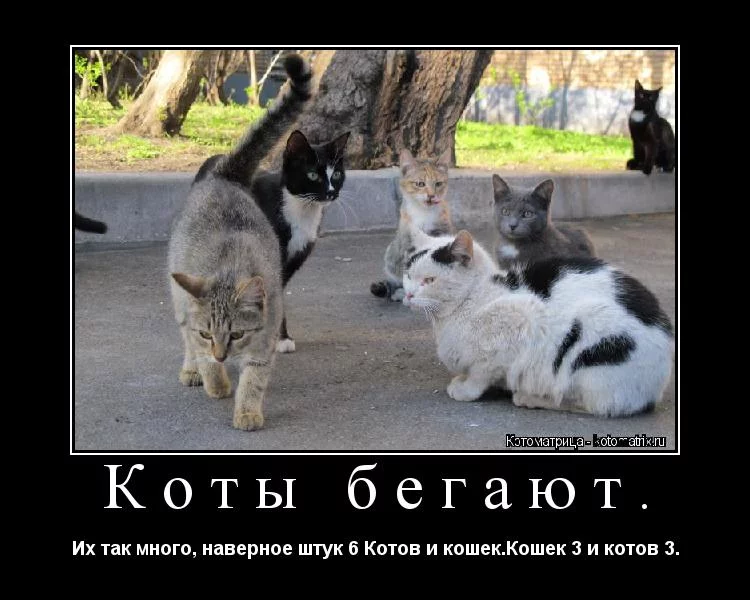 ejgeg1.webp