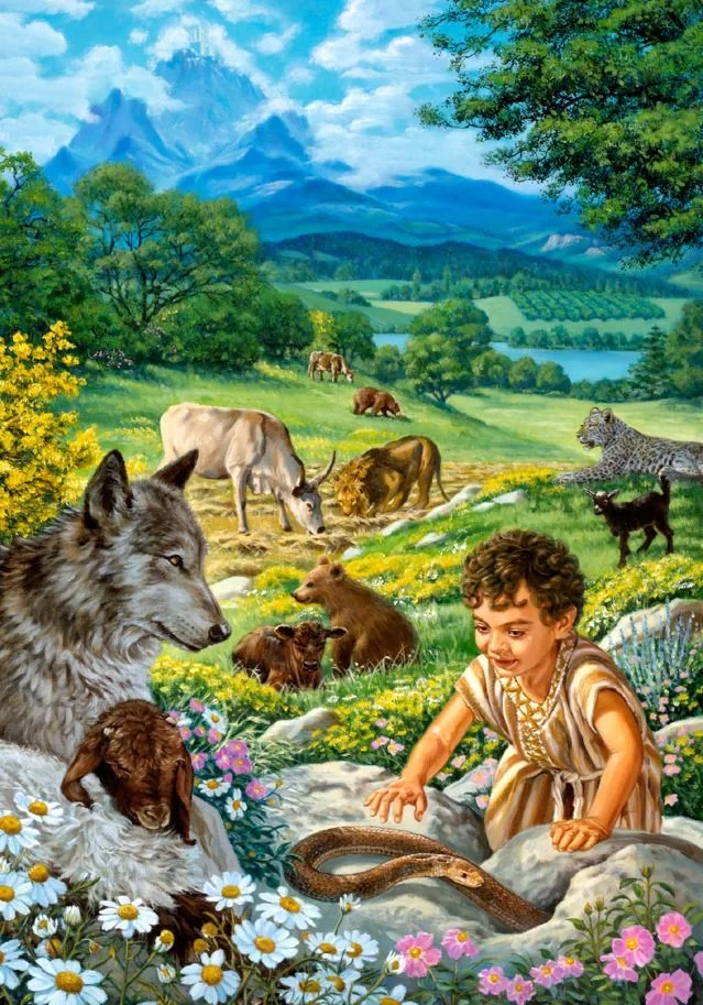 ejgf7d.webp