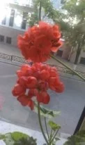 ejh8gd.webp