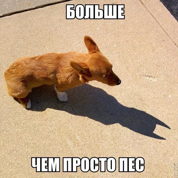 ejha2g.webp