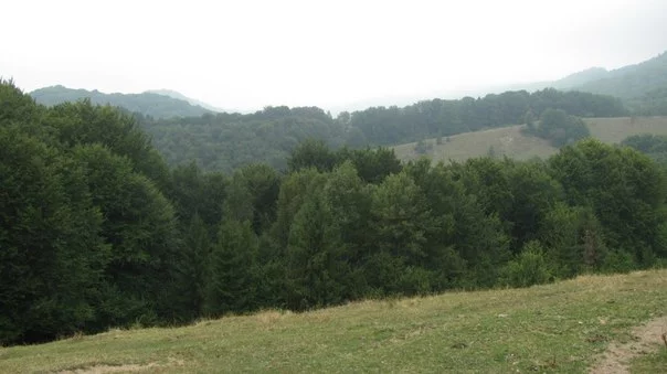 eJhuUaBqav4.webp