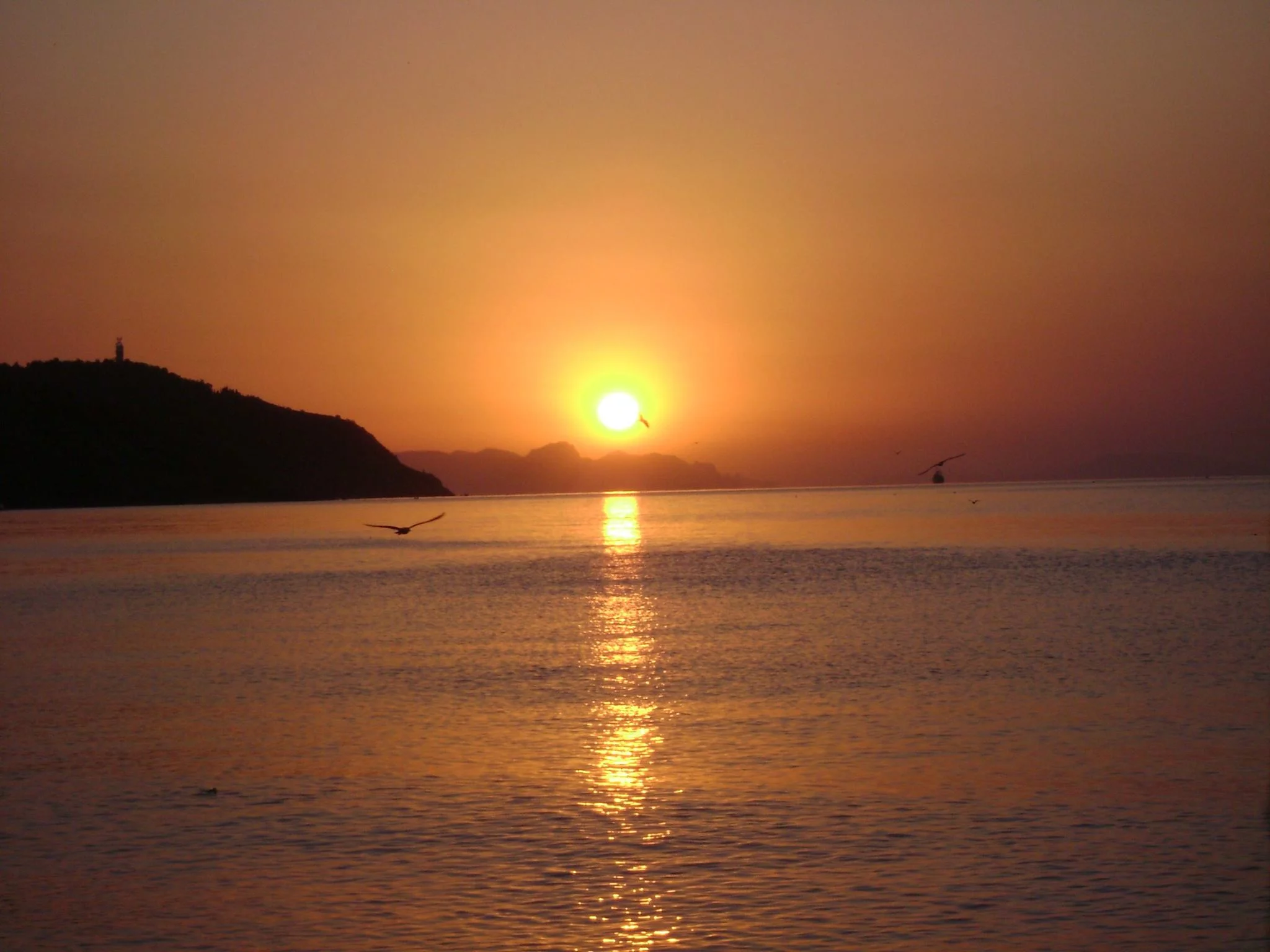 ejj3bg.webp