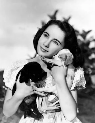 elizabeth%2Btaylor%2Bpuppies.webp