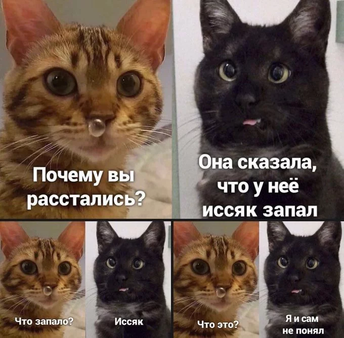 EnuvNIVXYAAzWXN?format=jpg&name=small.webp