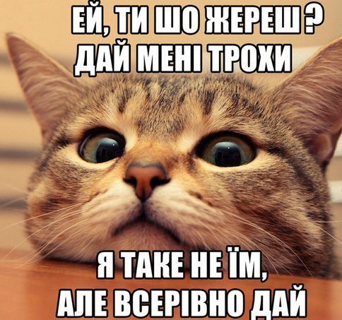 eqwIFnvn9_k.jpg