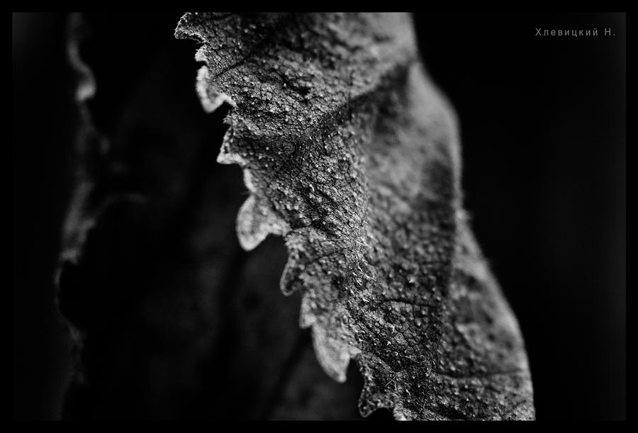 erotic_leaf_by_deathmetallnc-d38bf60.jpg