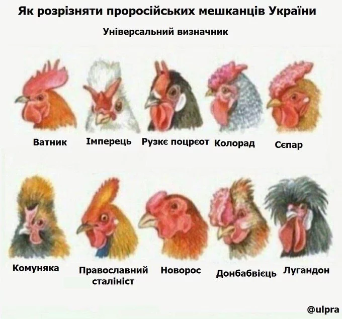 ES9gOvcWsAI-KoQ?format=jpg&name=small.webp