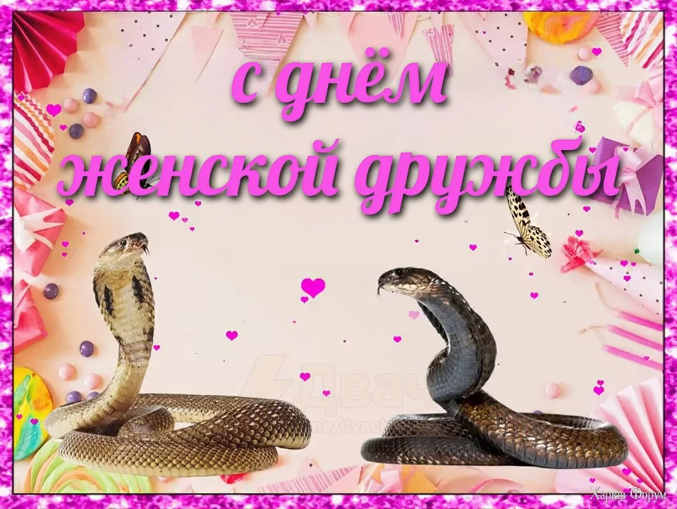  ещё сегодня отмечается День женской дружбы.webp