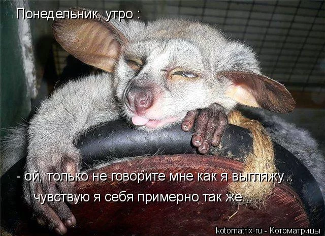 ev.webp