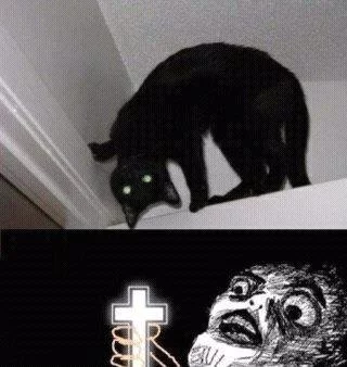 evil+cat+not+mine+credit+to+creator_6237b5_4165305.webp