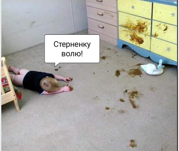 Ew-9bDhXAAIUshZ?format=jpg&name=small.jpg