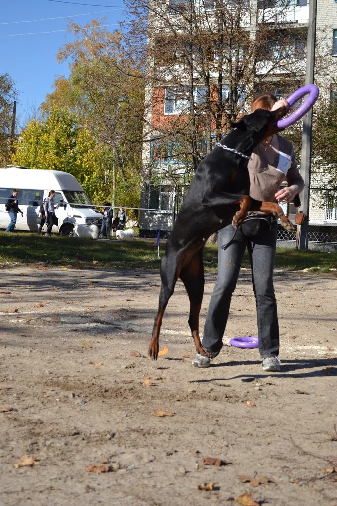 eXp3vrqLVfk.webp