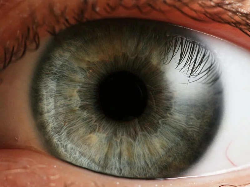 eyes_30.webp