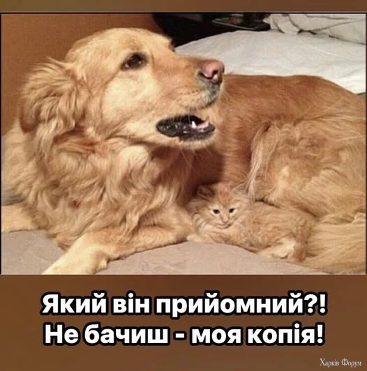 EywBmiY2wbc1k4k&_nc_zt=23&_nc_ht=scontent.fiev28-1.webp