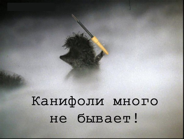 ezhik-v-tumane-udaljonnoe-566330.jpg