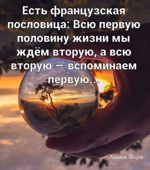 f001dc7e62fb5aff.webp
