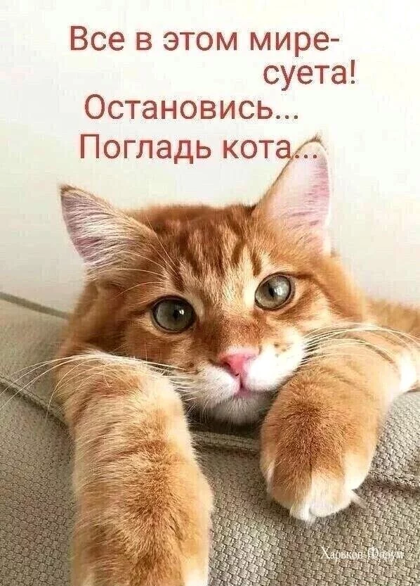 f00fa489fc24dcab0.webp
