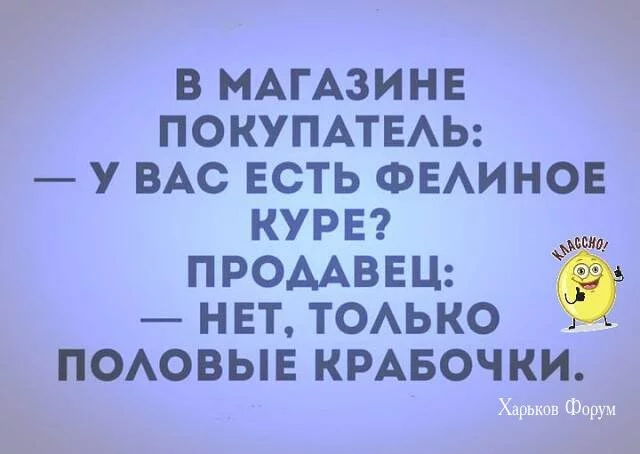 f020434df68d9fb60733658.webp