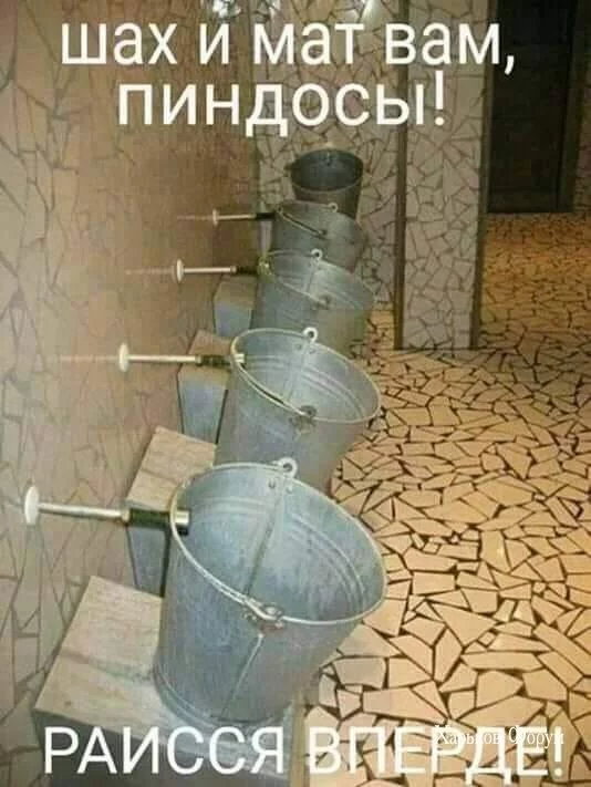 f02399838cb4ba934e.webp