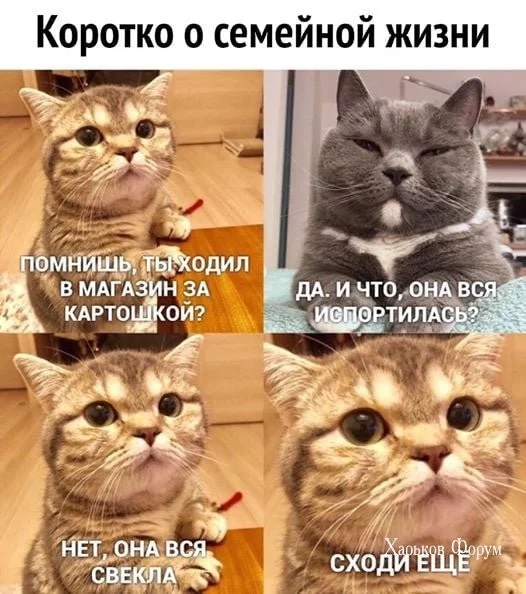 f02f62a59f1a2b612.webp